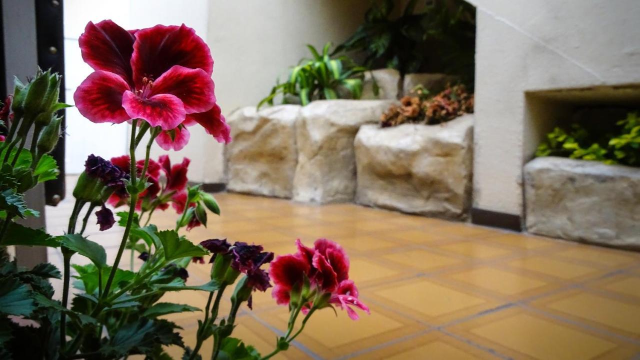 Hotel Mariscal Inn & Suite Cuenca Bagian luar foto
